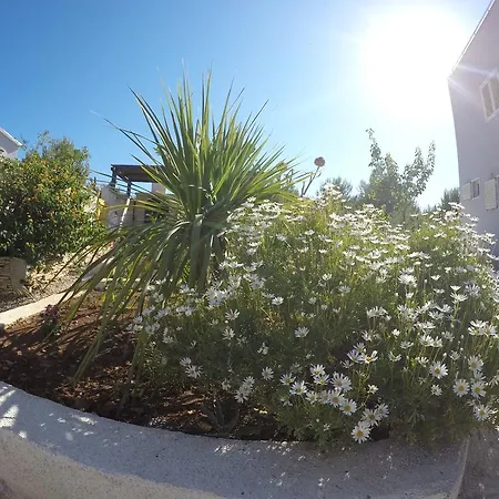 דירה Lavander House *