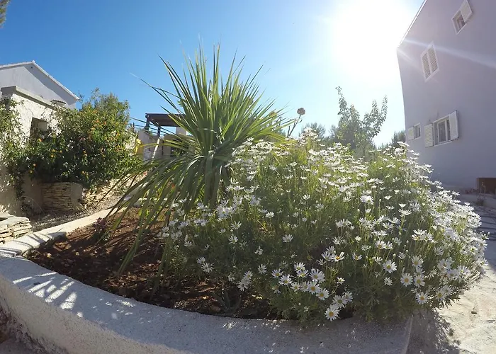 Apartamento Lavander House *