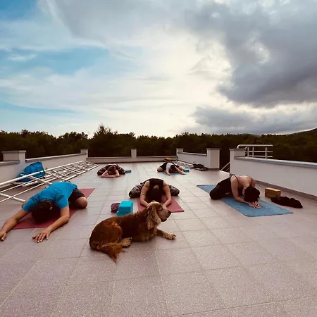 Lavander House 公寓